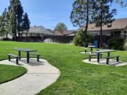 Homecoming Park Picnic Area
