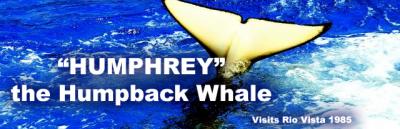Whale tail coming out of water with text "Humphrey" the Humpback Whale visits Rio Vista 1985
