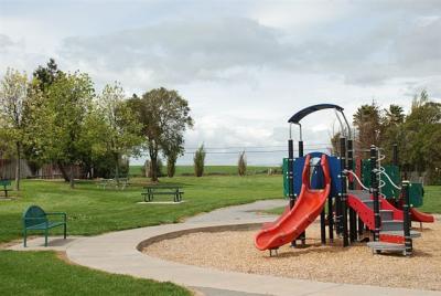 Playground with jungle gym, trees, and grass