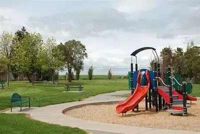 Playground with jungle gym, trees, and grass
