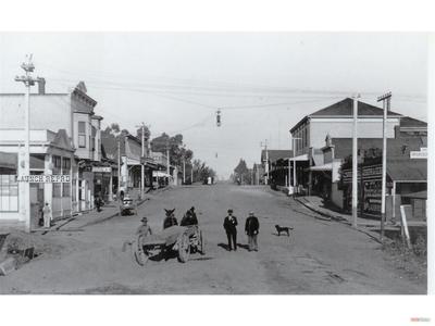 Black and white photography of five people and a dog walking down the middle of a street