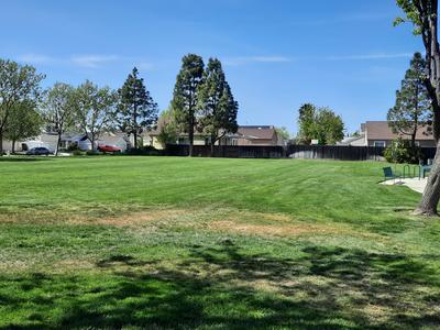 Homecoming Park Grass Area