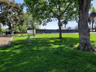 Grass area showing pool